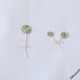 Ombrellino di mare- Acetabularia acetabulum (2)_wm